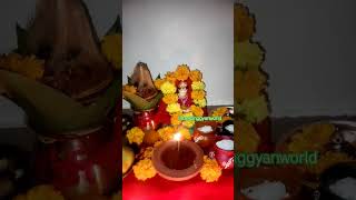 Shree lakmi shrotra lakshmipuja [upl. by Aiva]