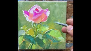 Rose 10х10 oil painting Vugar Mamedov [upl. by Franni94]