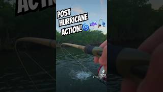 Top Water Slammed Early Never know what will bite🎣💥hurricanemilton florida fishing [upl. by Anik]