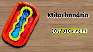 How to make Mitochondria 3D model  Science Project using foam  DIY project  Making school project [upl. by Nair315]