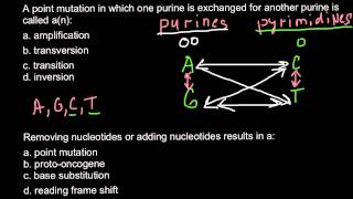 Transition and Transversion  what is the difference [upl. by Sardse731]