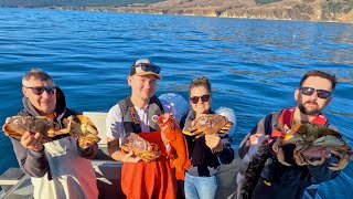 20241108 Bodega Bay Crabbing Open Limits california Dungeness Crab [upl. by Monique418]