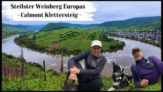 Calmont Klettersteig mit Hund  Steilster Weinberg Europas  Moselschleife Bremm [upl. by Schreib]