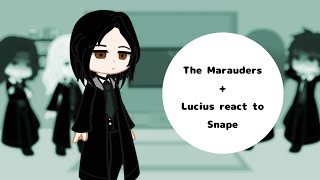 The Marauders  Lucius react to Snape [upl. by Goober]