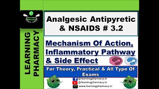 32  Mechanism Of Action amp Side Effects of Analgesic Antipyretic amp NSAIDS DCMA Tutorial in Hindi [upl. by Simonsen]