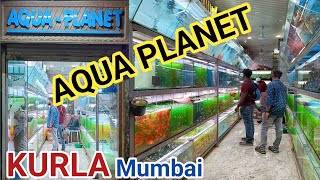 Aqua Planet Fish Shop  kurla Fish Aquarium market  Mumbai Aquarium fish market  Aqua Planet Shop [upl. by Alida896]