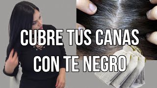 Poderoso Tinte natural para Teñir el cabello sin maltratarlo  aprende a prepararlo [upl. by Janel541]