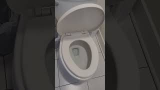 BEMIS Toilet Seat Soft Close [upl. by Oeramed74]