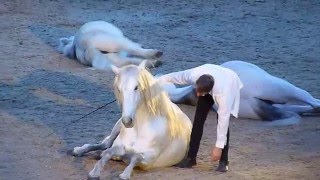 JeanFrançois Pignon London International Horse Show 2015 [upl. by Artimas343]