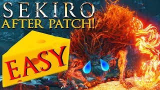 How to Kill Demon of Hatred EASY CHEESE AFTER PATCH  Sekiro Boss Guide [upl. by Iemaj]