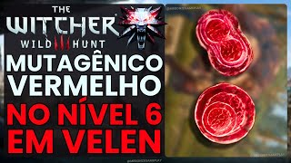 MUTAGÊNICO Vermelho no INÍCIO do Jogo The Witcher 3  Mutagênico VERMELHO SUPERIOR no Nível 6 [upl. by Saltsman704]