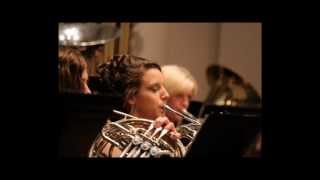 Horn Concerto No 2 Allegro Maestoso  Wolfgang Amadeus Mozart [upl. by Nirehtak]