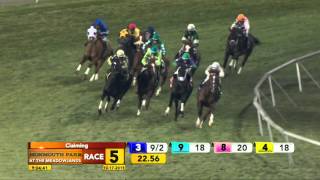 Meadowlands October 17 2015  Race 5  Giddy [upl. by Aneetsirhc]