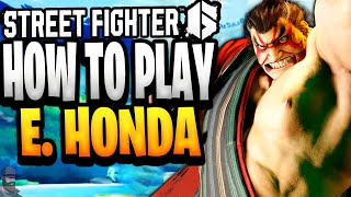 Street Fighter 6  How To Play E HONDA Guide Combos amp Tips [upl. by Valentijn]