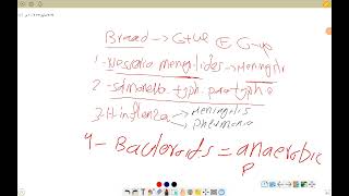 33 amphenicols and macrolides [upl. by Wilbur115]