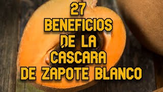 27 Beneficio de la Cáscara de Zapote Blanco [upl. by Deaner620]