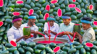 WATERMELON MILKSHAKE  Summer Healthy Drinks  Fresh Watermelon Juice Making in Village [upl. by Leach]