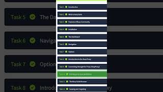 Site Map and Issue Definitions  Answer the Questions Series shorts thm tryhackme [upl. by Goldi449]