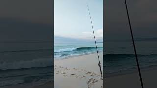 Beach Fishing at Haycock in Pambula beachfishing fishingaustralia justfishing [upl. by Australia347]