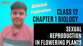 Sexual Reproduction in Flowering Plants in Part 1CBSE Class 12 biologyNCERT Biology [upl. by Robbie]