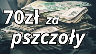 70 zł na START czyli pszczoły za grosze [upl. by Atoiganap948]