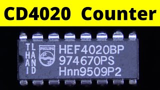 CD4020 Counter IC  14 bit binary ripple counter IC 4020 [upl. by Teodorico]