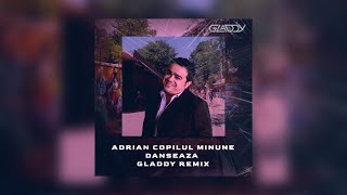 Adrian Copipul MinuneDanseaza Diskoteka Boom GLADDY Remix [upl. by Dash]