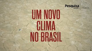 O Brasil que seca climatechange science climatecrisis arido pesquisa [upl. by Brittan]