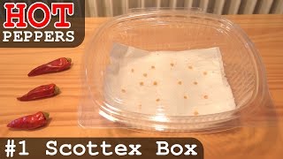 Grow HOT Peppers  Part 1  Scottex Box [upl. by Milks]