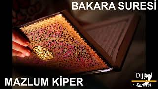 Bakara Suresi  Mazlum Kiper  Türkçe Meal [upl. by Matti]