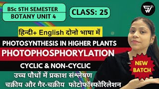 Cyclic and Noncyclic PhotophosphorylationPhotosynthesis in Higher PlantsBSc 5th Semester BOTANY [upl. by Efren]