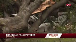 Carmichael road flooded tree crushes homes in area [upl. by Nellie337]