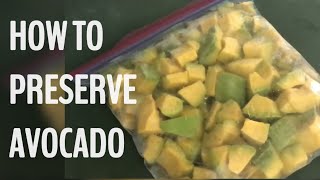 HOW TO PRESERVE AVOCADO [upl. by Gay]