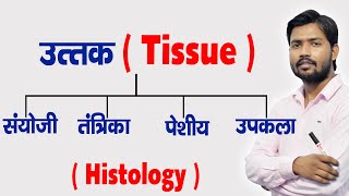 Types of Human Tissue  Tissue Functions  Histology in Hindi [upl. by Anila643]