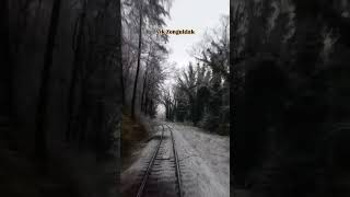 Zonguldak Karabük Tren Yolculuğu 🚂 İyi Seyirler 🧡 zongukdak [upl. by Keele]