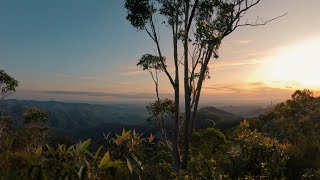 Exploring D’Aguilar National Park on gravel bikes [upl. by Fuchs]