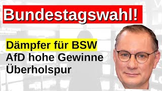 Bundestagswahl Sonntagsfrage Prognose AfD Gewinner Hochrechnung Wahlsonntag Scholz abgestraft [upl. by Teiluj]