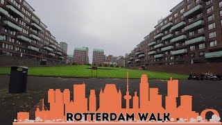 Rotterdam Walk explorethecity exploretheworld explorer exploremore exploreshorts walkingtour [upl. by Tillion]