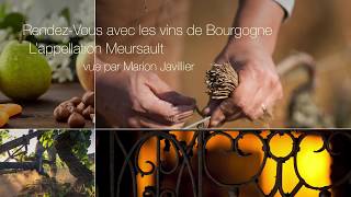 RendezVous avec les Vins de Bourgogne  l’appellation Meursault vue par Marion Javillier [upl. by Randene]