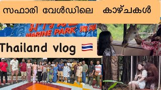 Safari World Bangkok 4K  Safari WorldMarine Park  Orangutans Show  Bangkok  🇹🇭 [upl. by Aytak]