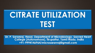 Citrate Utilization Test [upl. by Tawney808]