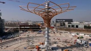 Albero della vita e Padiglione Italia ultime dal cantiere Expo [upl. by Vincenz585]