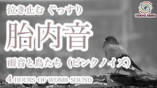 【胎内音】赤ちゃんが寝る！泣き止む！夜泣き対策 寝かしつけ胎内音4時間【鳥と雨音編 ピンクノイズ】Baby stops crying Sleeping womb sound 4 hours [upl. by Gilboa]