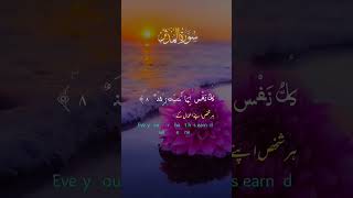 Quranelkarim قرانكريم سورةالمدثر طبيعةساحرة ريلاكس world natural Relax Shorts 2910 [upl. by Eeliak]