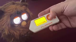 Activate Furbacca features with Flipper Zero [upl. by Triley]