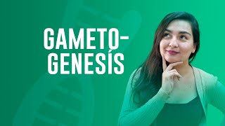 Todo sobre la Gametogénesis  YOUTUBER CPECH BIOLOGÍA [upl. by Nahtanaoj]