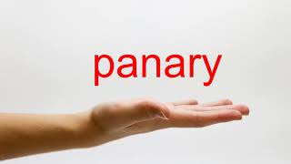 How to Pronounce panary  American English [upl. by Adnarb248]