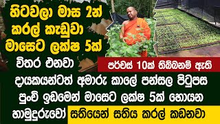 හිටවලා මාස දෙකෙන් කරල් කැඩුවා මාසෙට ලක්ෂ 5ක් විතර එනවා  Dark Green Scotch Bonnet  DILCO [upl. by Eenrahc]