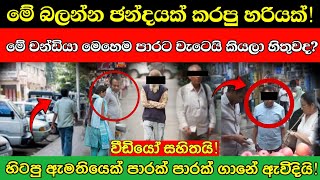 පාරට වැටුන මෙයාව අඳුරනවද බලන්න Explained [upl. by O'Rourke574]