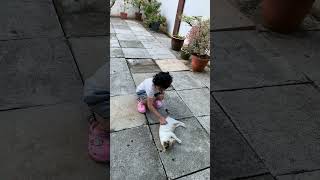 Cat loves being petted by this cutie animals funny cute [upl. by Else]